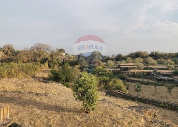 Foto 7 - Agricultural land Via Coccio, Catania - photo 7