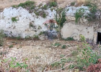 Giardino - Villa via dei Garofani
 
snc, Augusta - foto 24