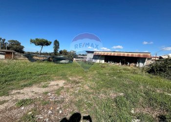 Giardino - Terreno edificabile colle palatino, Anzio - foto 8