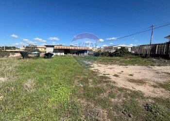 Giardino - Terreno edificabile colle palatino, Anzio - foto 9