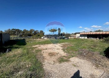 Giardino - Terreno edificabile colle palatino, Anzio - foto 10