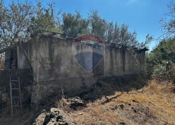 Giardino - Rustic via sant'Antonio Romito
 
SN, Misterbianco - photo 8