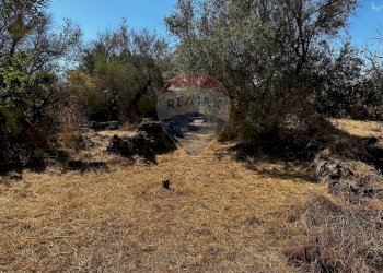 Giardino - Rustic via sant'Antonio Romito
 
SN, Misterbianco - photo 10
