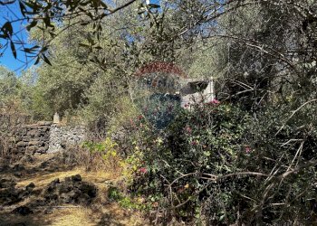 Giardino - Rustic via sant'Antonio Romito
 
SN, Misterbianco - photo 11