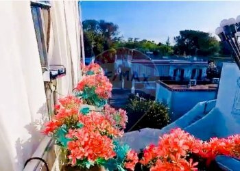 Giardino - Quadrilocale Ischia - foto 9