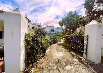 Giardino - Quadrilocale Ischia - foto 10