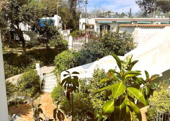 Giardino - Quadrilocale Ischia - foto 11