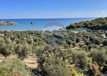 Vista dell\'acqua - Rustico Località Lama le Canne, Vieste - foto 14