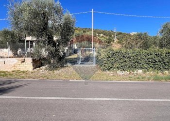 esterno - Rustico Località Lama le Canne, Vieste - foto 20