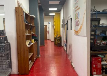 Foto 6 - Warehouse Via Armado Diaz
 
14, Trofarello - photo 6