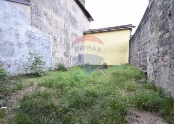 Giardino - Casa indipendente Via Giovanni Tiboldo Bolla
 
18, Tavigliano - foto 8