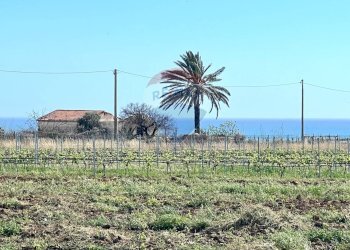 Vista delle montagne - Terreno edificabile Castelvetrano - foto 2