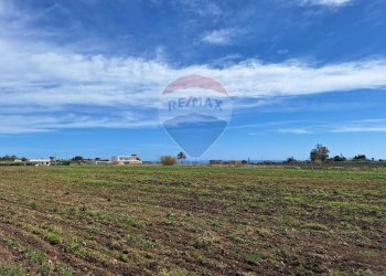 Giardino - Terreno edificabile Castelvetrano - foto 3