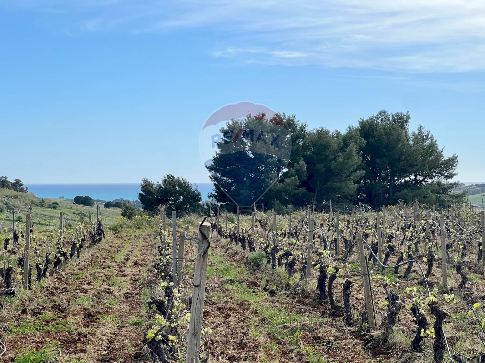 Vista delle montagne - Terreno edificabile SP79, Menfi - foto 2