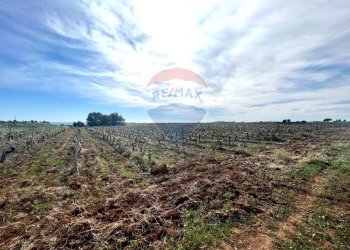 Vista delle montagne - Terreno edificabile SP79, Menfi - foto 4