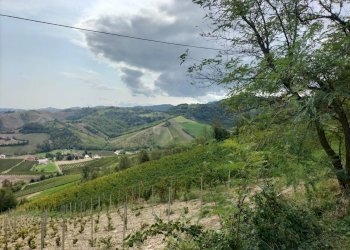 Foto 4 - Rustico Str. Bacedasco Costa Stradivari
 
2, Castell'Arquato - foto 4