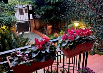 Foto 57 - Villa a Schiera Maddaloni - foto 57