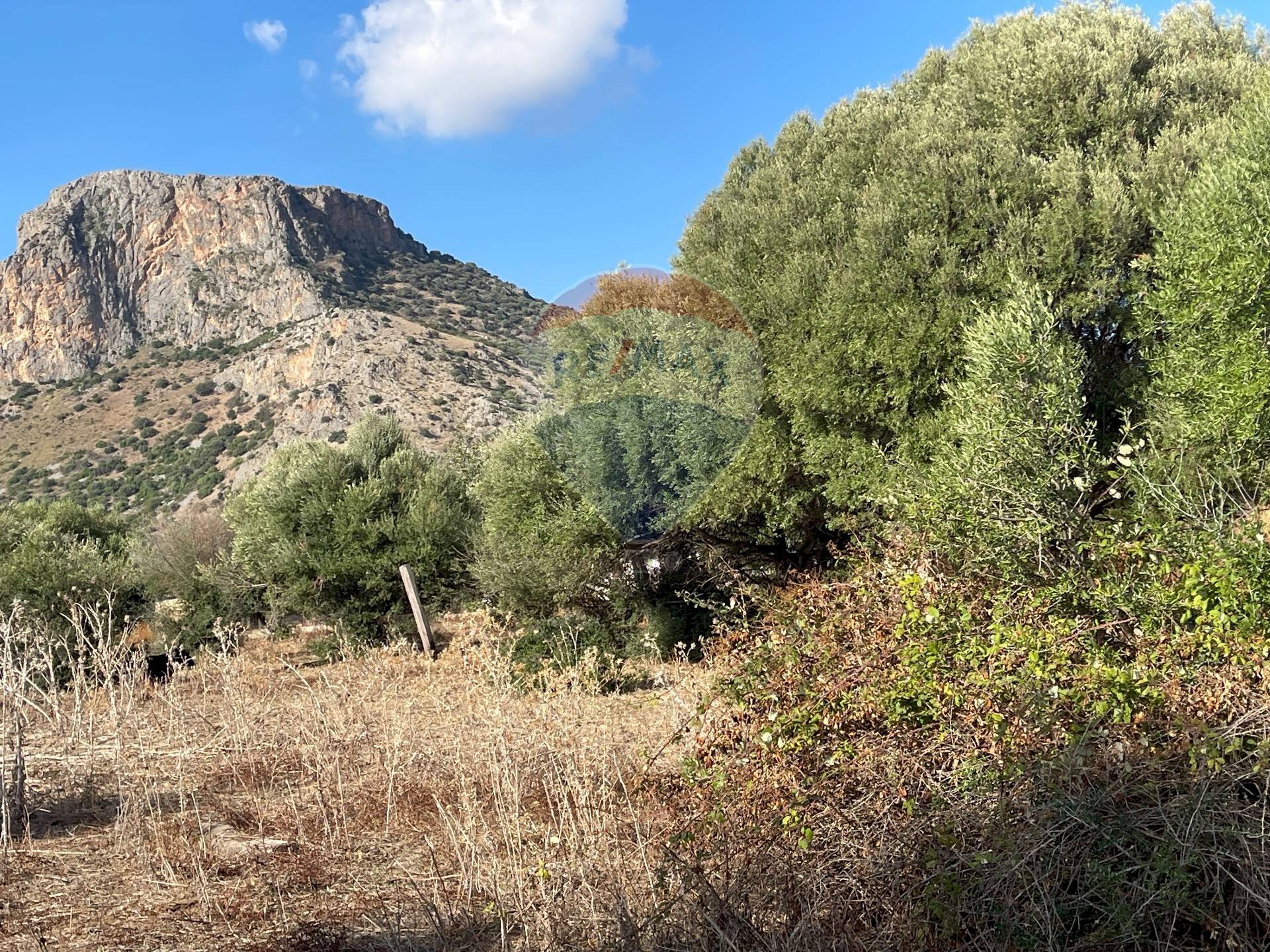 Vista delle montagne - Terreno agricolo Via Mimosa, Terrasini - foto 1
