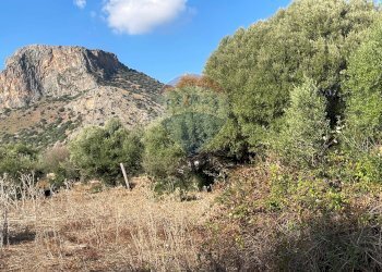 Vista delle montagne - Terreno agricolo Via Mimosa, Terrasini - foto 1