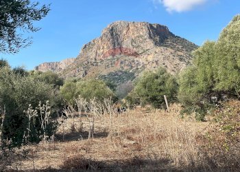 Vista delle montagne - Terreno agricolo Via Mimosa, Terrasini - foto 4