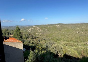 Foto 22 - Casa semi indipendente VIA VITTORIO EMANUELE II
 
106, Luogosanto - foto 22