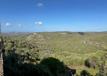 Foto 23 - Casa semi indipendente VIA VITTORIO EMANUELE II
 
106, Luogosanto - foto 23