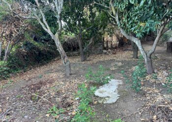 Foto 3 - Casa semi indipendente VIA VITTORIO EMANUELE II
 
106, Luogosanto - foto 3