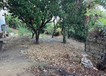 Foto 24 - Casa semi indipendente VIA VITTORIO EMANUELE II
 
106, Luogosanto - foto 24