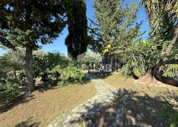 Foto 6 - Terreno agricolo Via Brindisi
 
47, Carini - foto 6