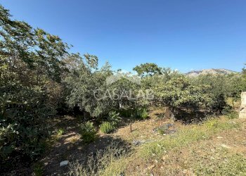 Foto 10 - Terreno agricolo Via Brindisi
 
47, Carini - foto 10