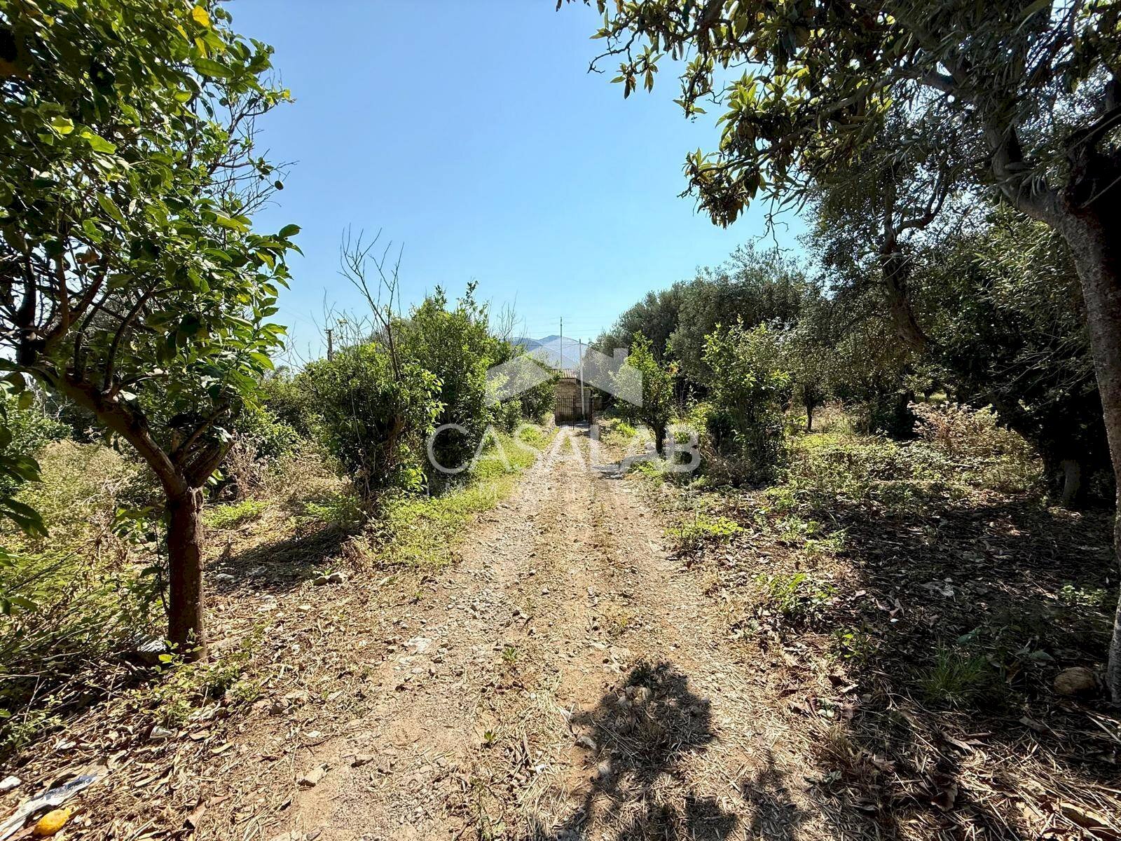 Foto 3 - Terreno agricolo Via Aldo Moro, Carini - foto 3