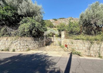 Foto 1 - Terreno agricolo Via Aldo Moro, Carini - foto 1