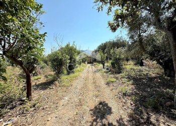 Foto 3 - Terreno agricolo Via Aldo Moro, Carini - foto 3