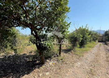 Foto 5 - Terreno agricolo Via Aldo Moro, Carini - foto 5