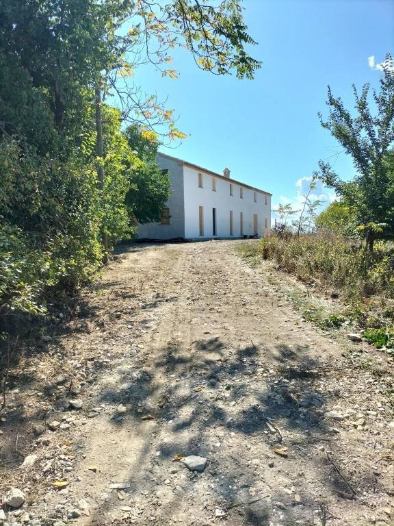 Giardino - Villa Ancona - photo 1