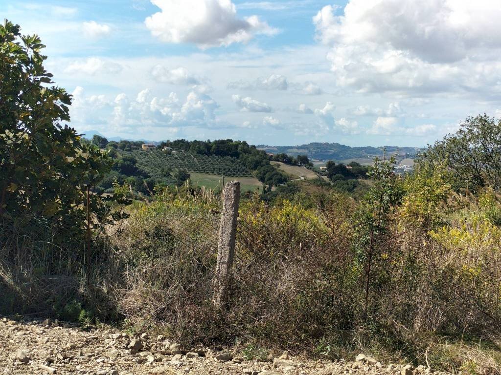 Terreno - Villa Ancona - photo 2