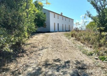 Giardino - Villa Ancona - photo 1