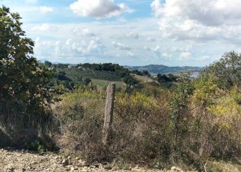 Terreno - Villa Ancona - photo 2