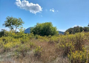 Terreno - Villa Ancona - photo 6