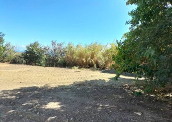 Terreno - Villa Ancona - photo 13