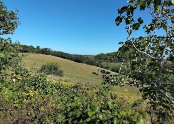 Terreno - Villa Ancona - photo 20