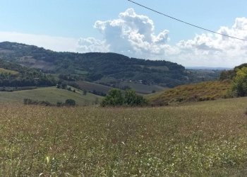 Terreno - Villa Ancona - photo 22