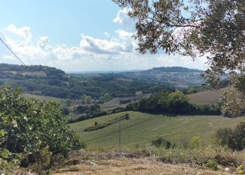 Terreno - Villa Ancona - photo 23