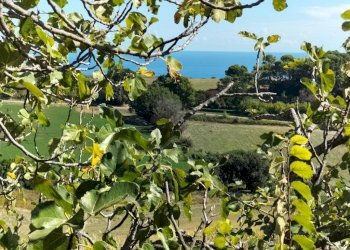 Terreno - Villa Ancona - photo 24