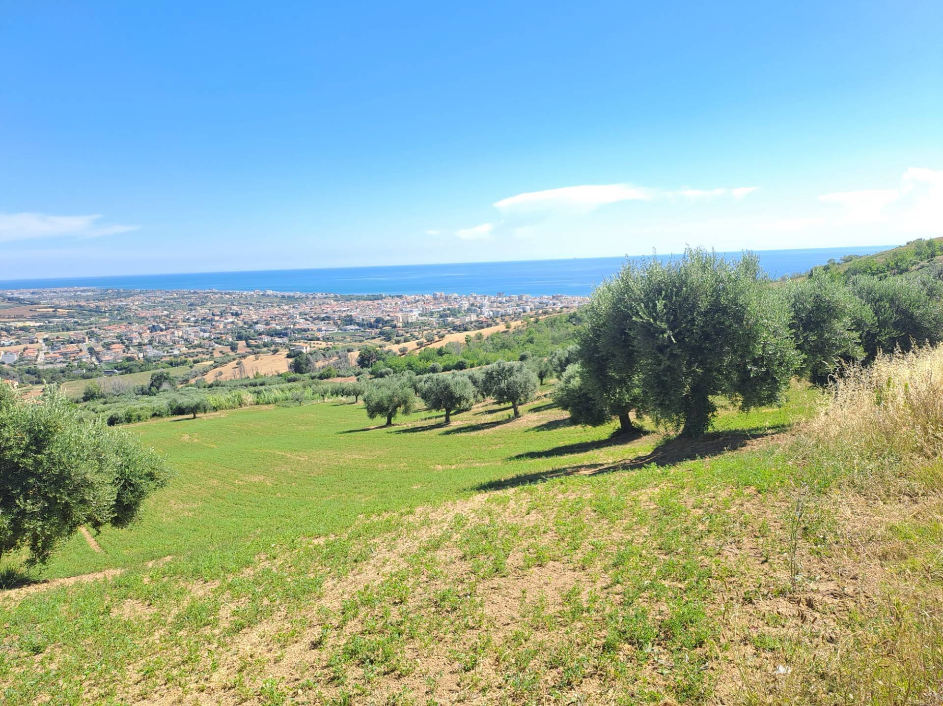 Foto 1 - Terreno agricolo Via Sant'Angelo, Tortoreto - foto 1
