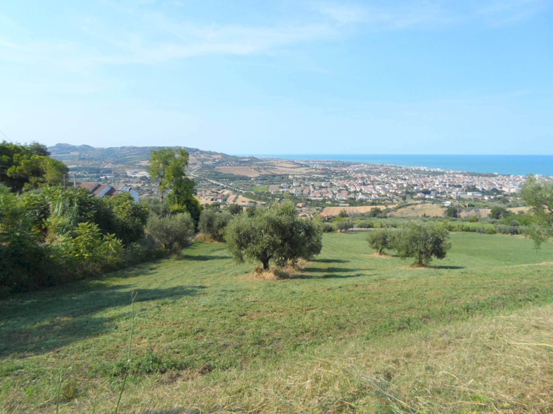 Foto 2 - Terreno agricolo Via Sant'Angelo, Tortoreto - foto 2