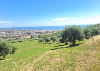 Foto 1 - Terreno agricolo Via Sant'Angelo, Tortoreto - foto 1