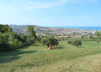 Foto 2 - Terreno agricolo Via Sant'Angelo, Tortoreto - foto 2