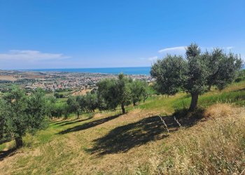 Foto 3 - Terreno agricolo Via Sant'Angelo, Tortoreto - foto 3