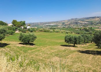 Foto 4 - Terreno agricolo Via Sant'Angelo, Tortoreto - foto 4